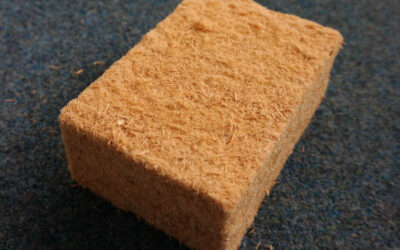 Holzfaser