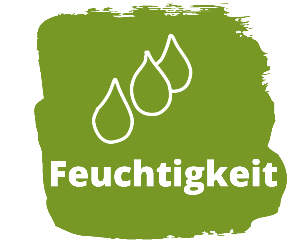 Feuchtigkeit